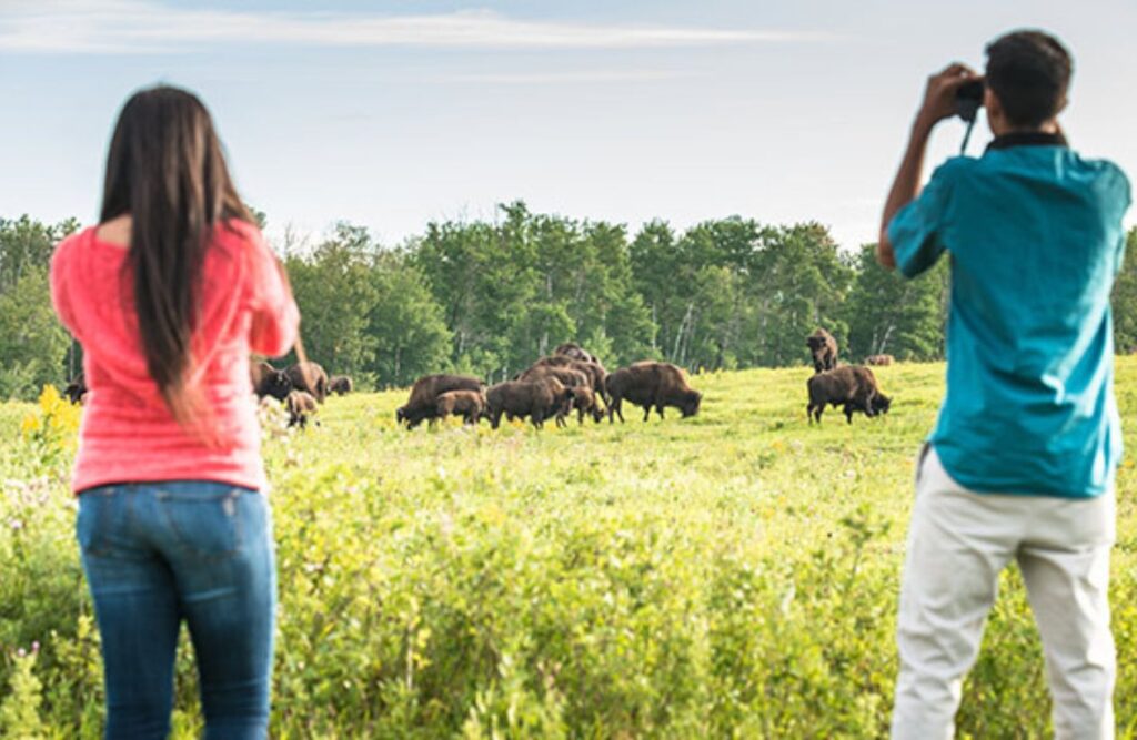 Elk Island National Park for event venue