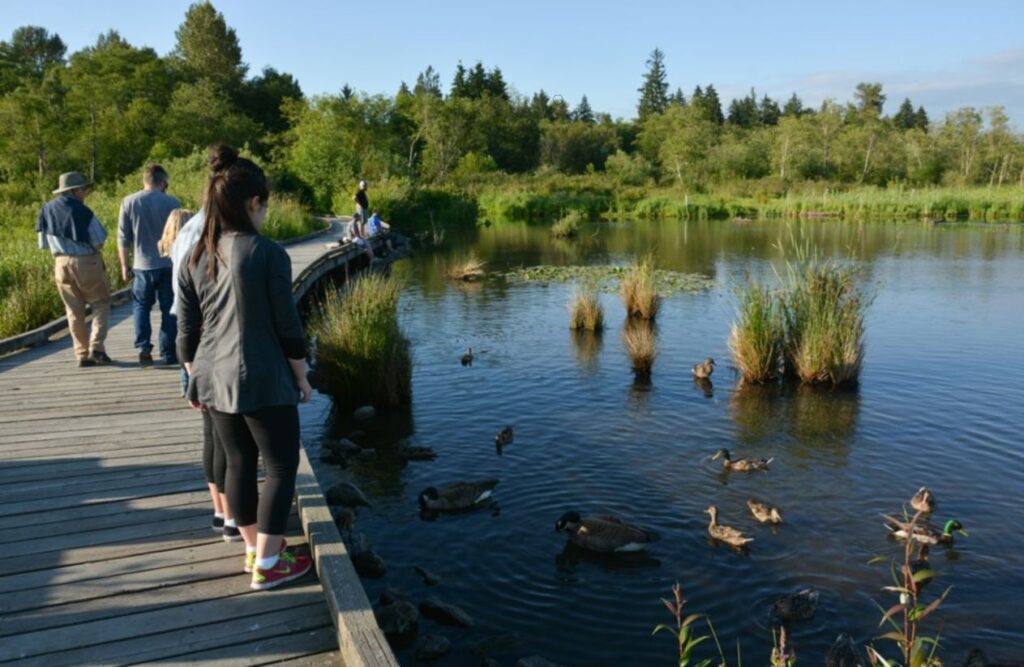 Burnaby's Top 10 Outdoor Wedding Venues Lake Regional Park