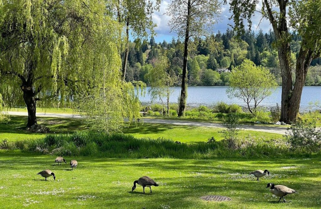 Deer Lake Park burnaby's outdoor wedding venues