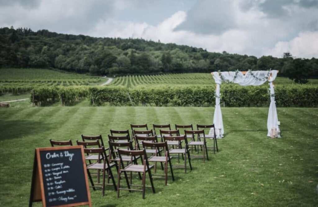 Vineyards for a Romantic Backdrop