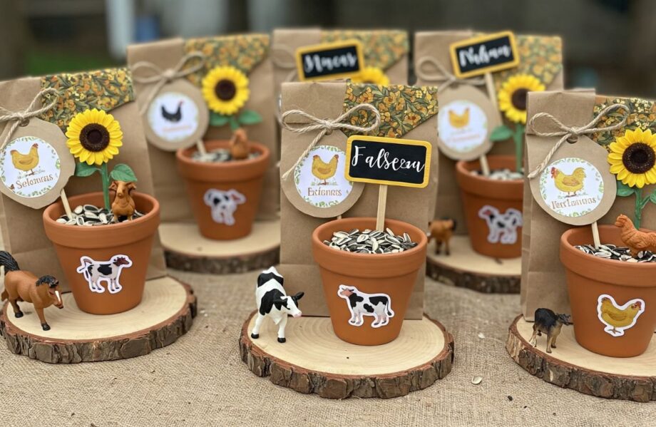 Farm Themed Party Favors