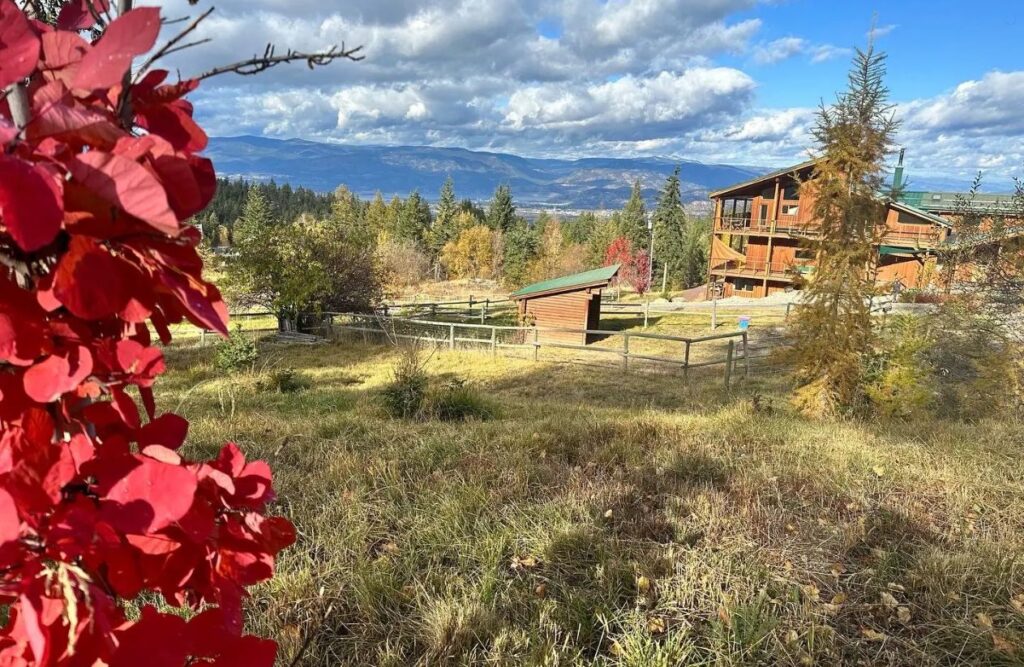 Best Outdoor Wedding Venues In Kelowna: From Vineyards to Beaches 10 Outdoor Wedding Venues in Kelowna