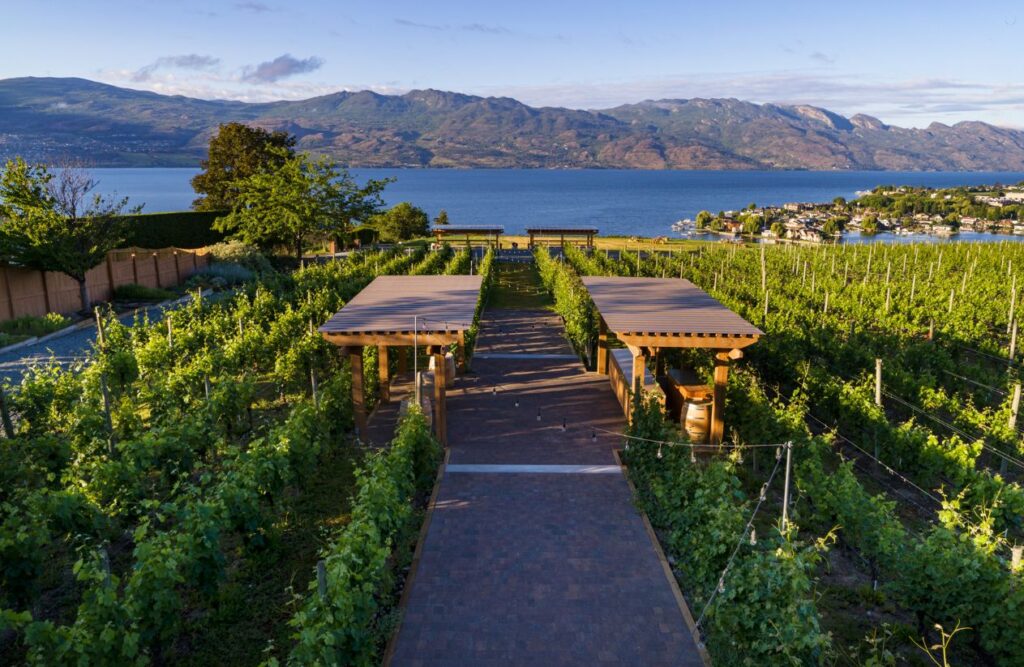 Best Outdoor Wedding Venues In Kelowna: From Vineyards to Beaches 6 Quails' Gate Estate Winery