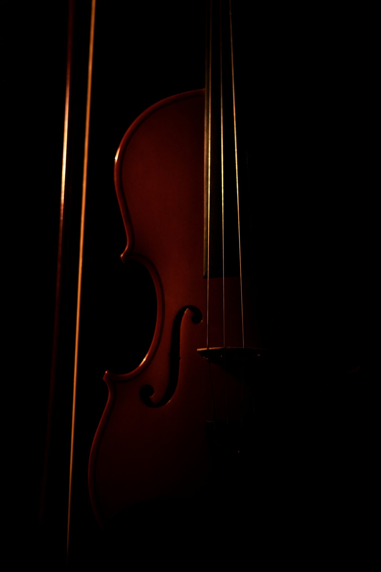 A violin against a black background