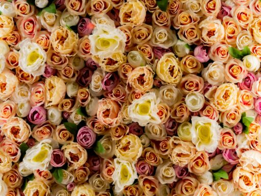 A wall of pastel roses in peach, cream and pink, like a photo booth backdrop.