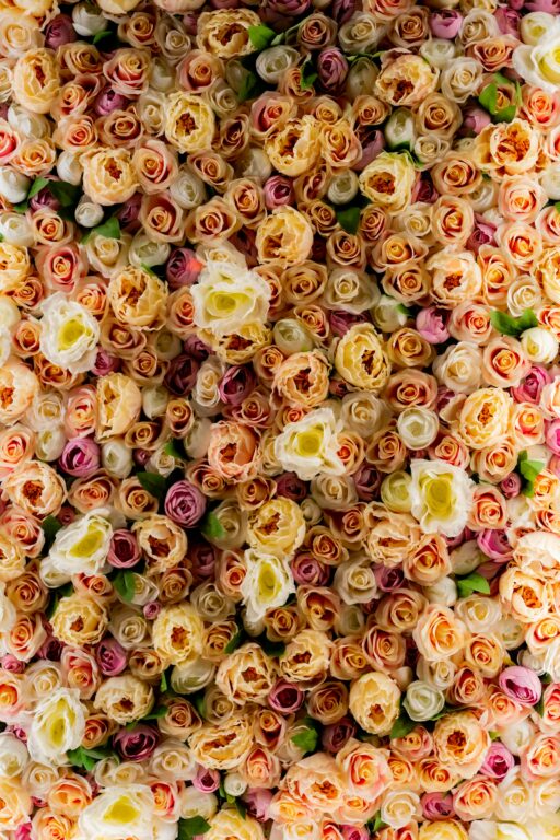 A wall of pastel roses in peach, cream and pink, like a photo booth backdrop.