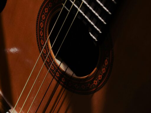 A close-up of guitar strings