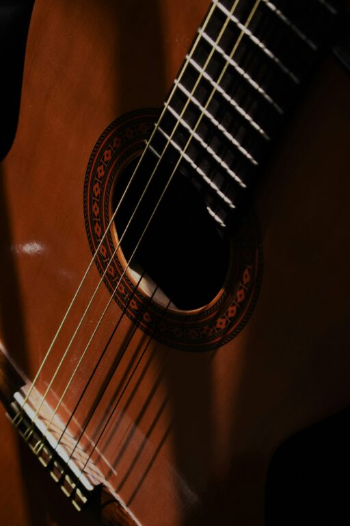 A close-up of guitar strings